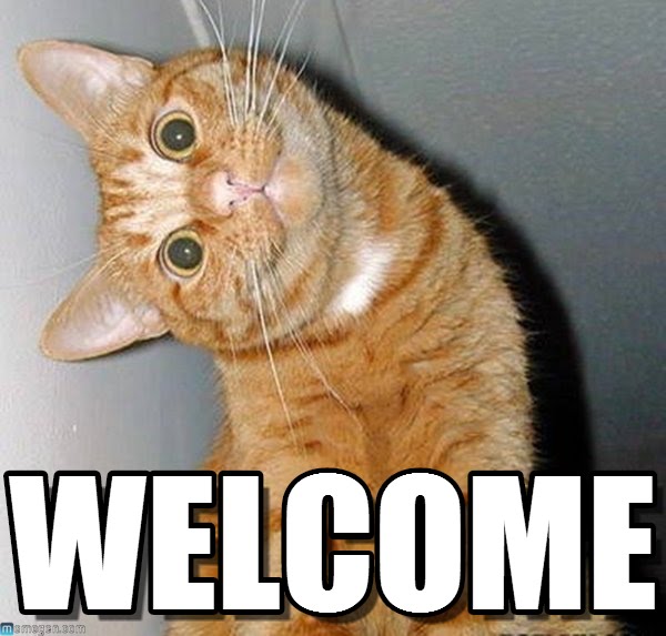 welcome-cat.jpg