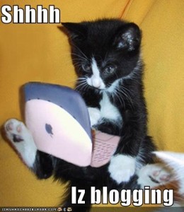 Blogging kitten, with a very photoshopped iBook