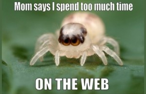 Spider meme: Mom says I spend too much time on the web