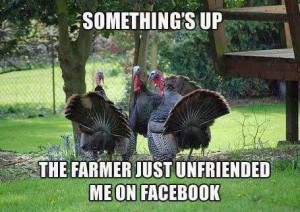 Group of turkeys, with the caption, Something's up. The farmer just unfriended me on Facebook